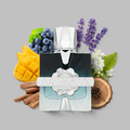 French Avenue Aromatix Frostbite Perfume bottle labeled 'Aromatix' surrounded by fruits, flowers, and wood elements on a gray background