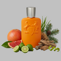 Parfum de Marly Perseus Orange perfume bottle with citrus fruits, cinnamon sticks, and greenery on a gray background